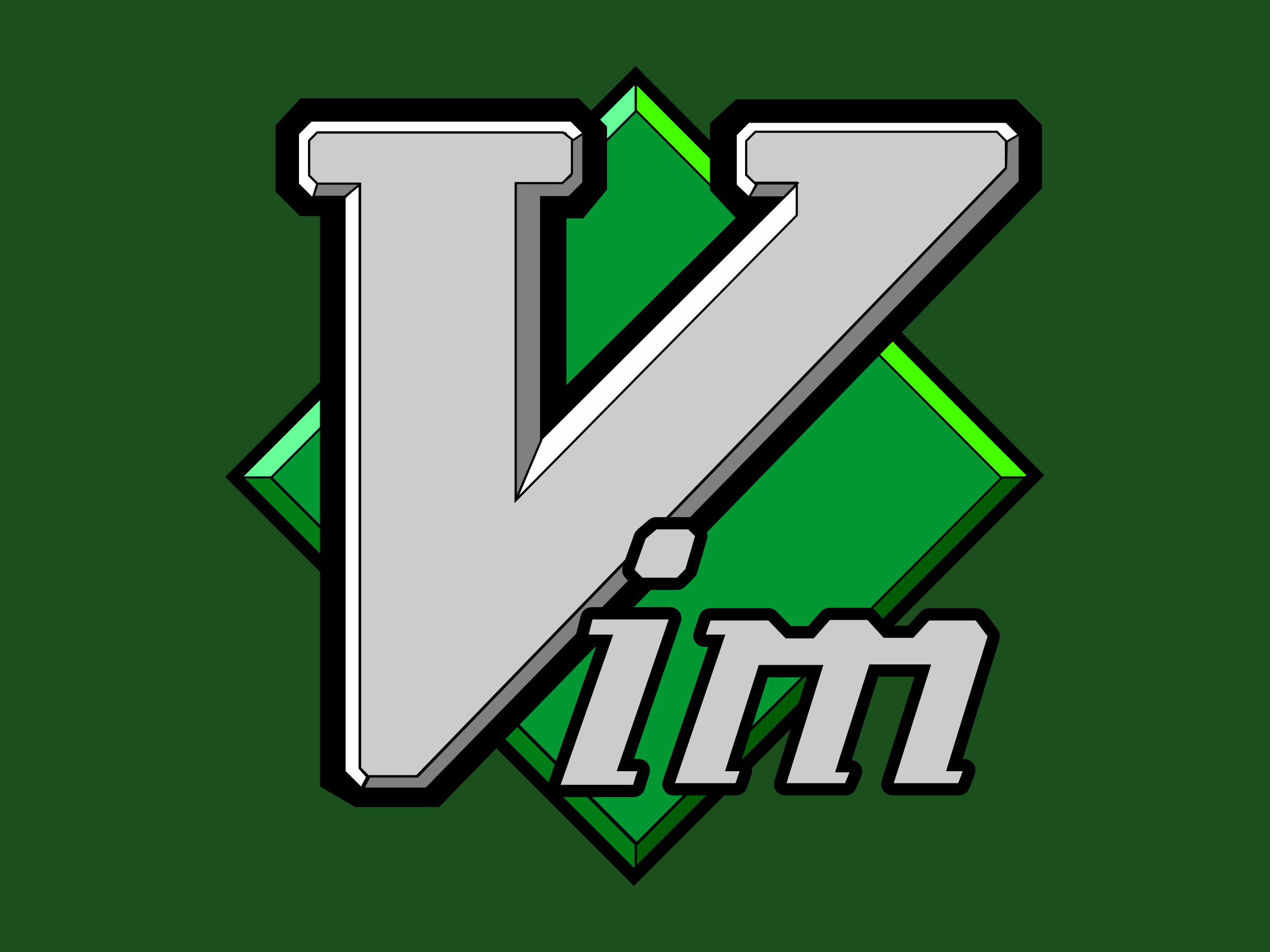 Vim Plugins Setup